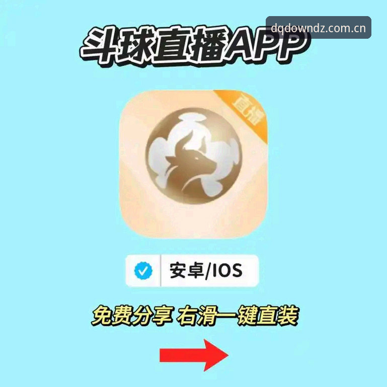 斗球是什么 斗球是什么?新手完整安装使用教程(附真实用户反馈)
