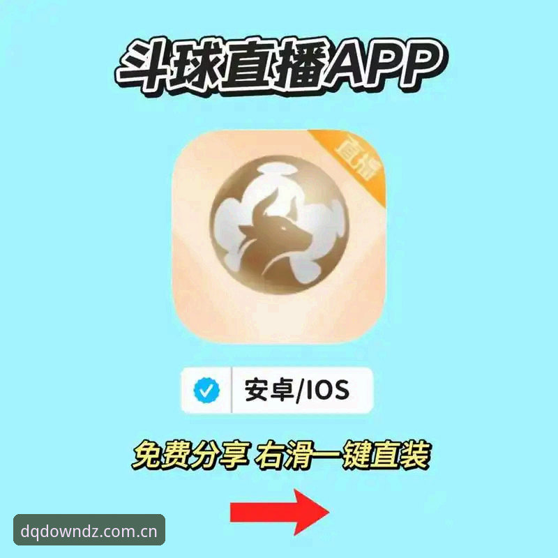 斗球体验 斗球官方下载深度分析:从新手到高手的完整体验指南